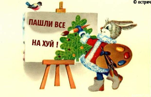 Photo of the Day