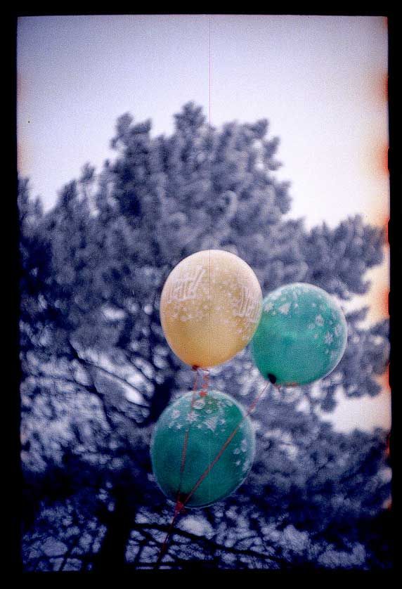Photo of the Day