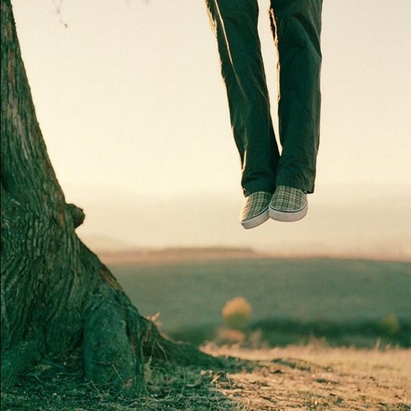 Photo of the Day
