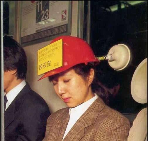 Photo of the Day