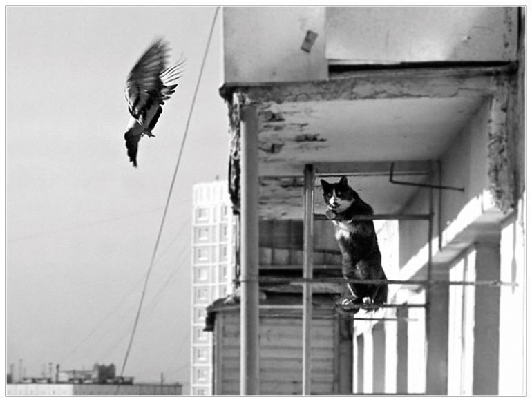 Photo of the Day