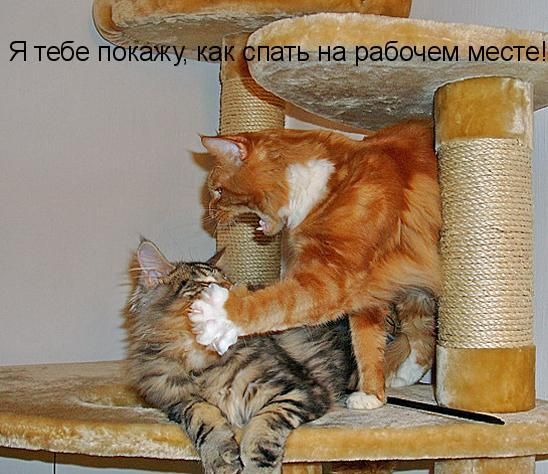 Photo of the Day