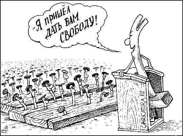 Photo of the Day