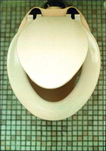 Photo of the Day