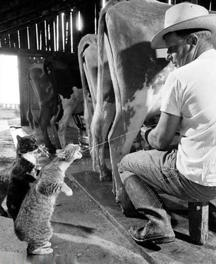 Photo of the Day