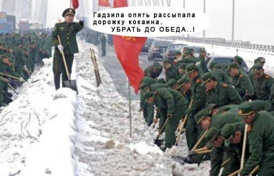Photo of the Day