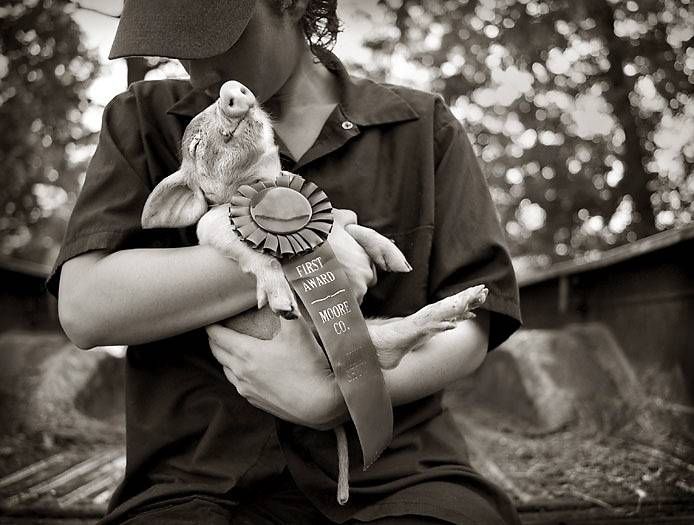 Photo of the Day