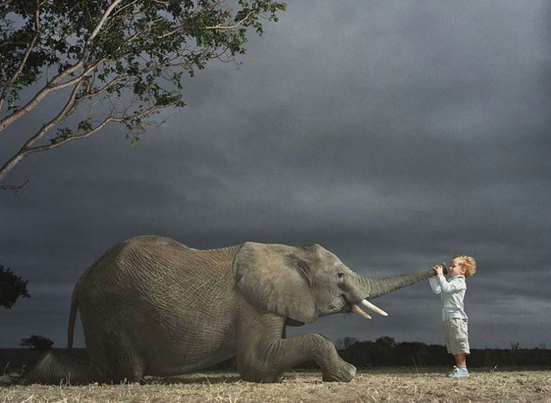 Photo of the Day