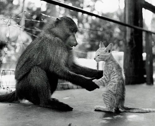 Photo of the Day