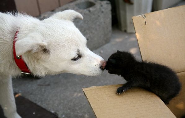 Photo of the Day