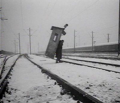 Photo of the Day