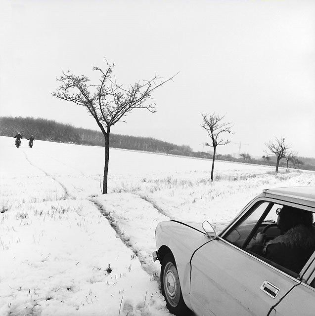 Photo of the Day