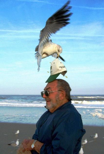 Photo of the Day