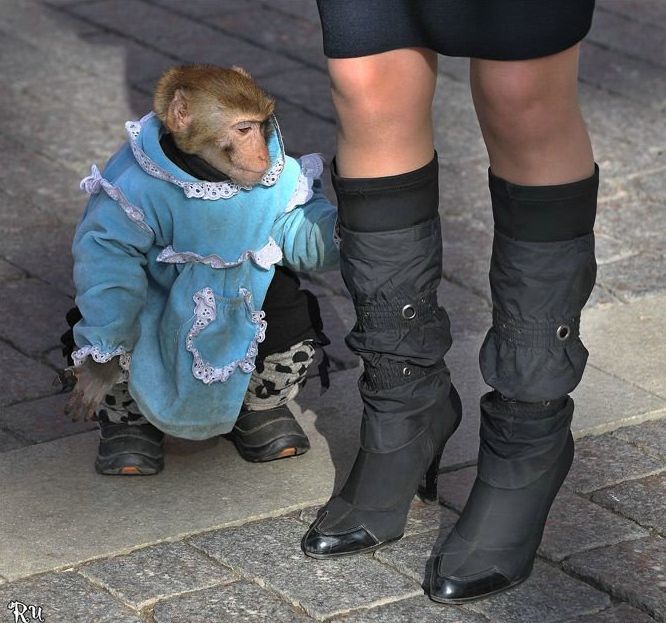Photo of the Day