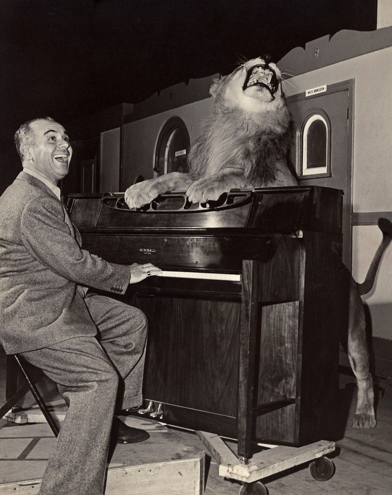 Photo of the Day