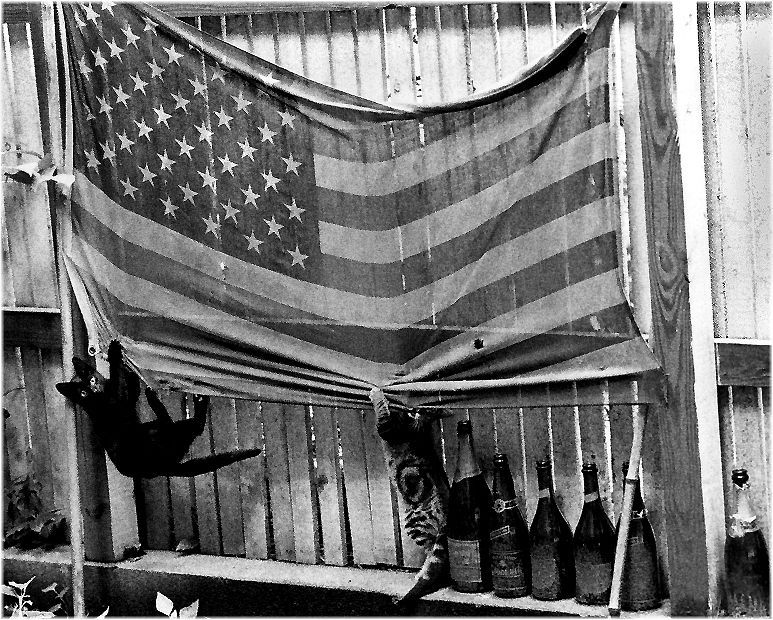 Photo of the Day
