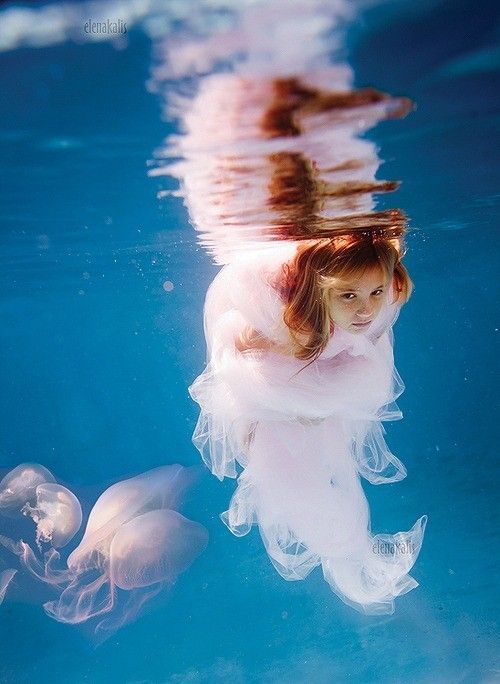 Photo of the Day