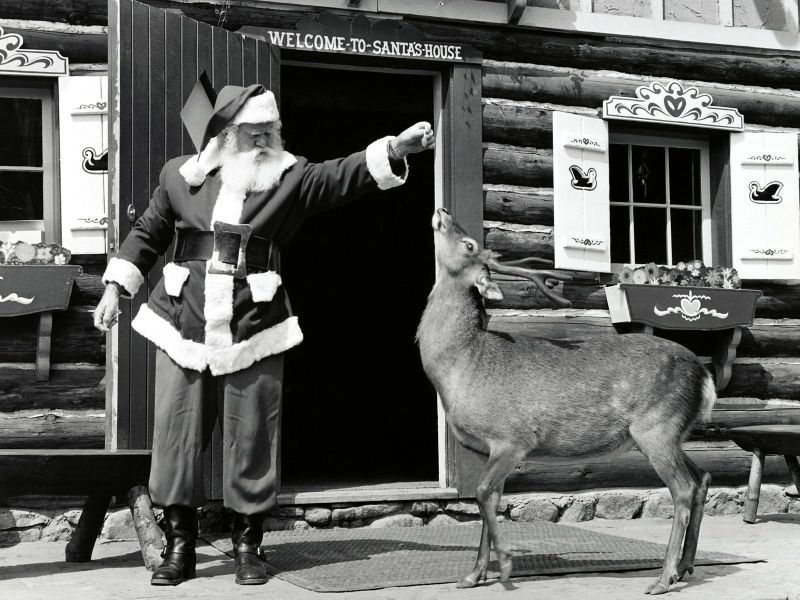Photo of the Day