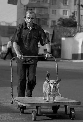Photo of the Day