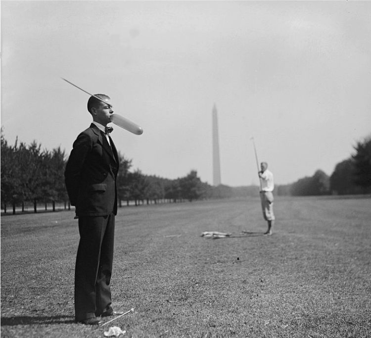 Photo of the Day