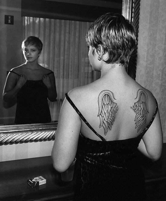 Photo of the Day