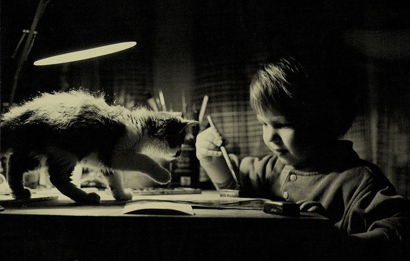 Photo of the Day