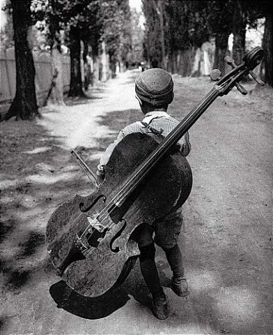 Photo of the Day