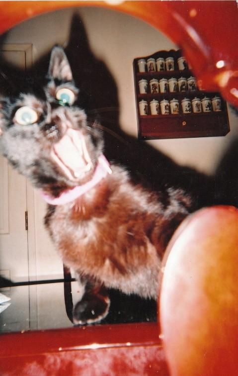 Photo of the Day
