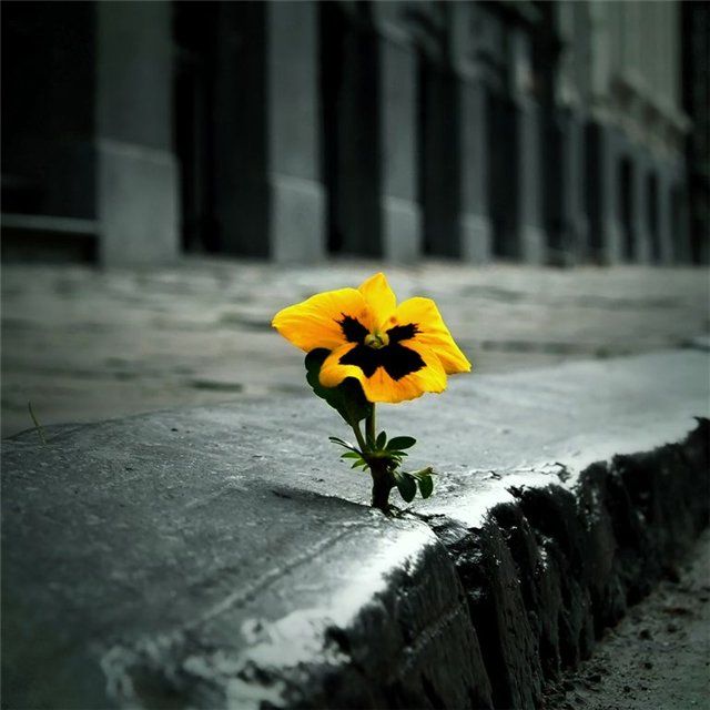 Photo of the Day