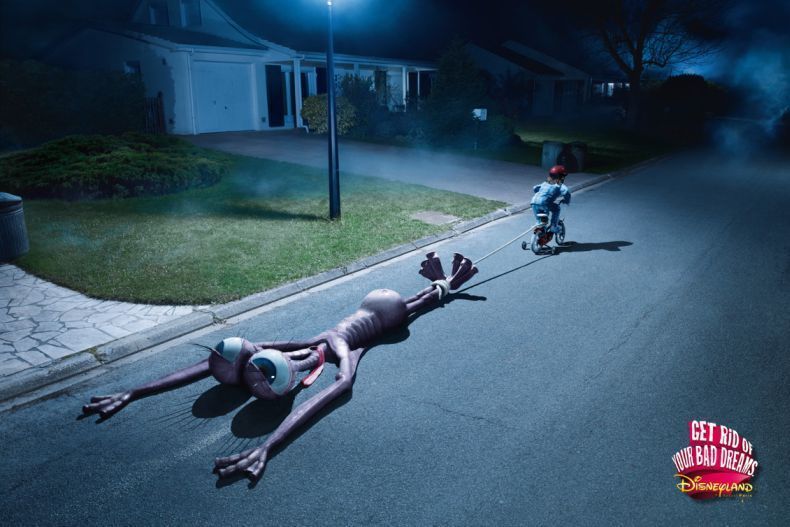 Photo of the Day