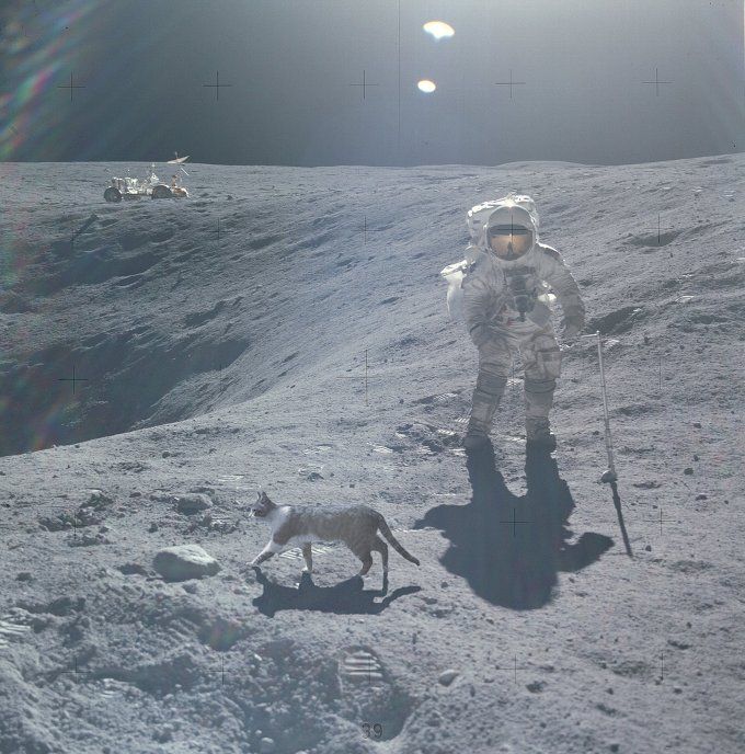 Photo of the Day