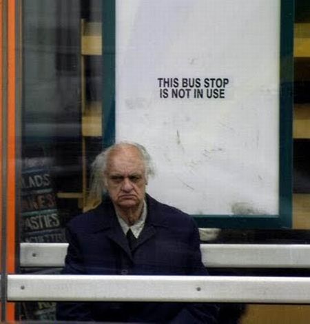 Photo of the Day