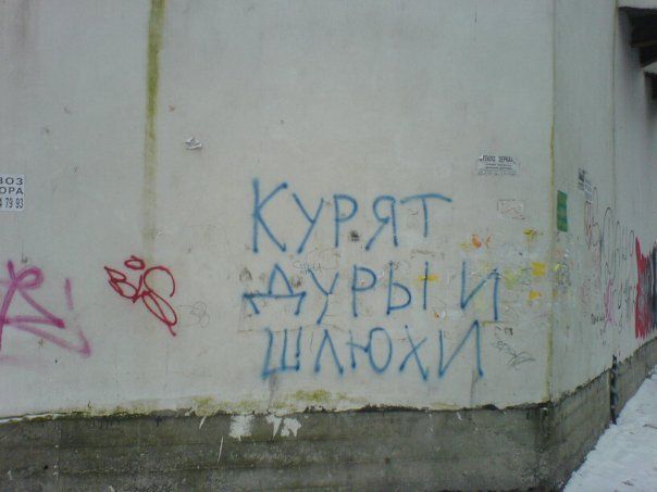 Photo of the Day