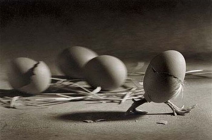 Photo of the Day