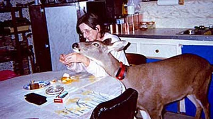 Photo of the Day