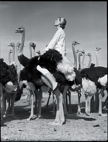 Photo of the Day