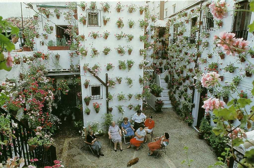 Photo of the Day