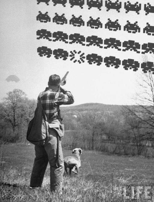 Photo of the Day