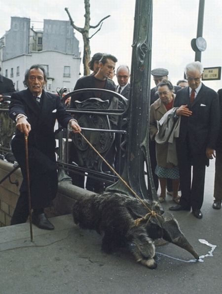 Photo of the Day