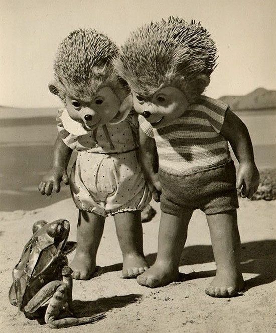 Photo of the Day