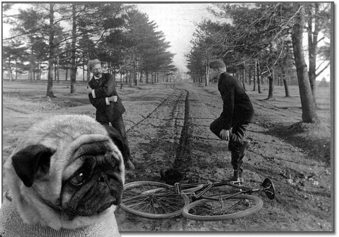 Photo of the Day