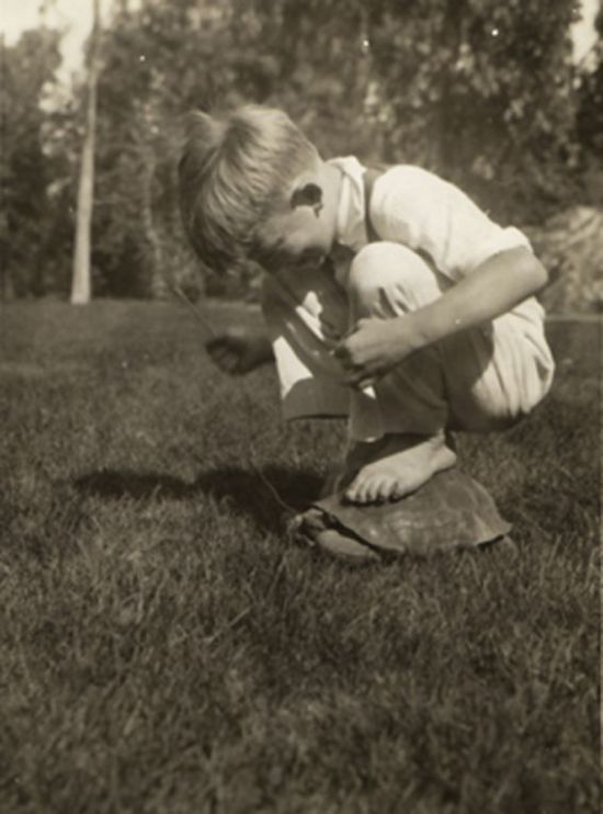 Photo of the Day