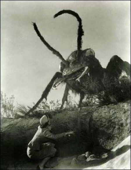 Photo of the Day