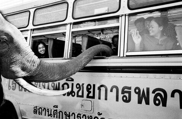 Photo of the Day