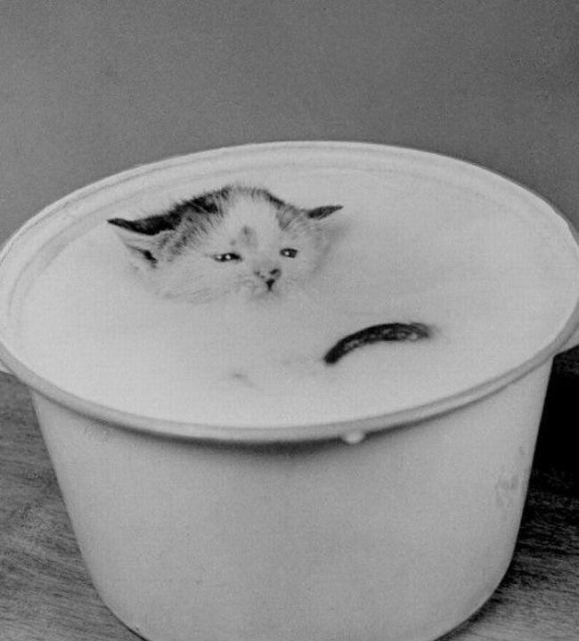 Photo of the Day