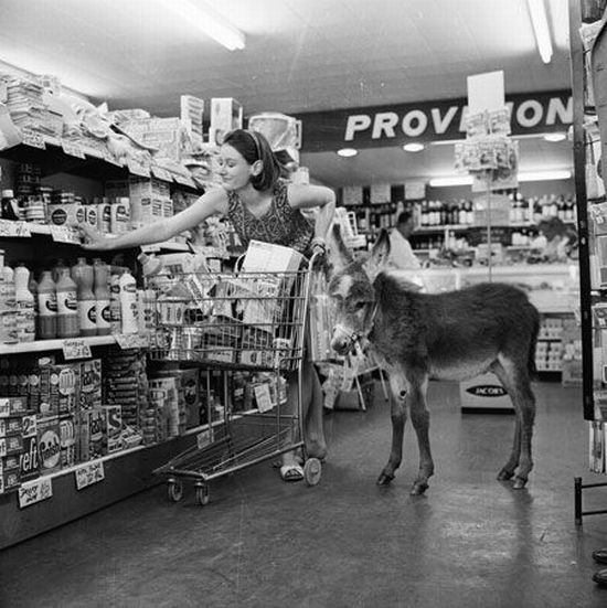 Photo of the Day