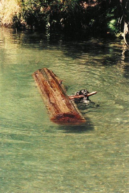 Photo of the Day