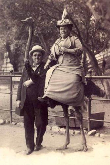 Photo of the Day