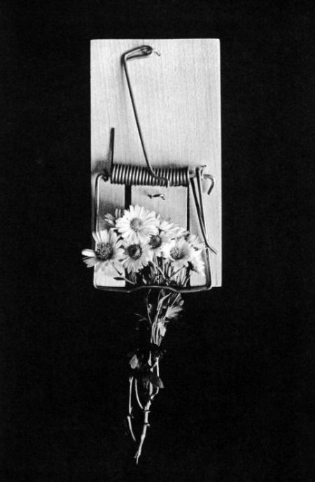 Photo of the Day