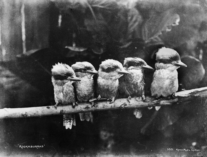 Photo of the Day
